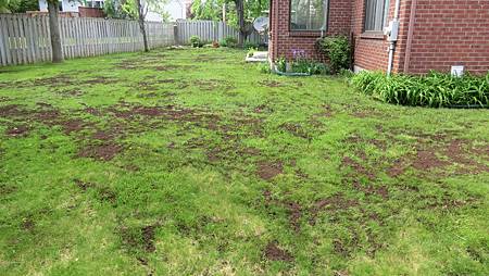 CIMG8450.JPG CIMG8450.JPG