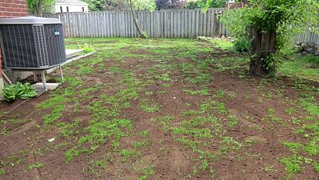 CIMG8451.JPG CIMG8451.JPG