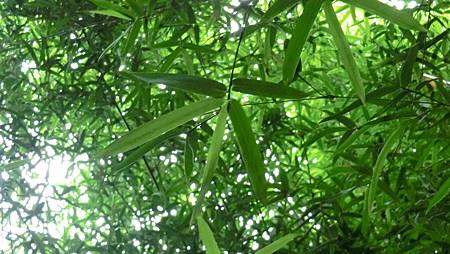 CIMG0996.JPG CIMG0996.JPG