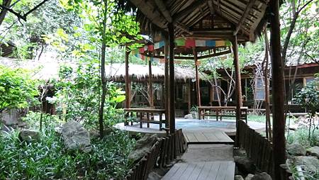 CIMG2303.JPG CIMG2303.JPG