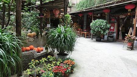 CIMG2308.JPG CIMG2308.JPG