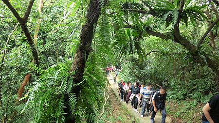 CIMG2769.JPG CIMG2769.JPG