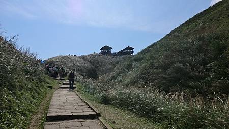 CIMG2780.JPG CIMG2780.JPG