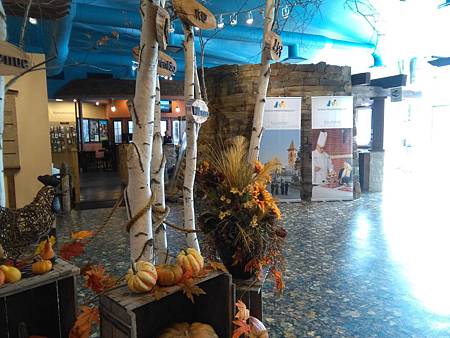 IMG_20161017_114503.jpg IMG_20161017_114503.jpg