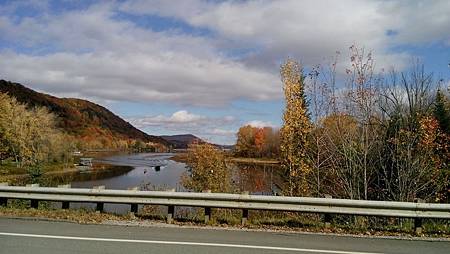 IMG_20161017_131003.jpg IMG_20161017_131003.jpg