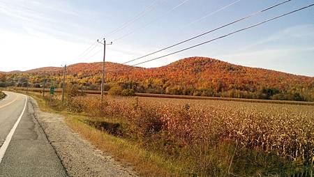 IMG_20161017_142246.jpg IMG_20161017_142246.jpg