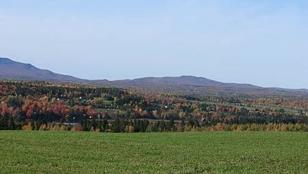 CIMG8930.JPG CIMG8930.JPG