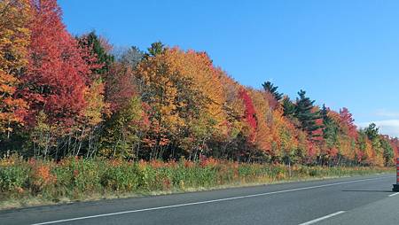 CIMG8896.JPG CIMG8896.JPG