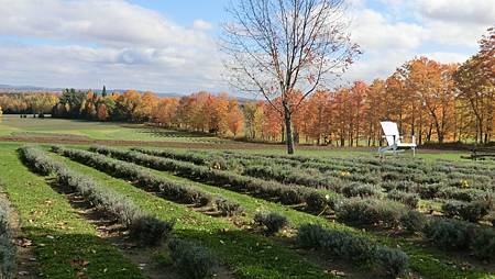 CIMG8922.JPG CIMG8922.JPG