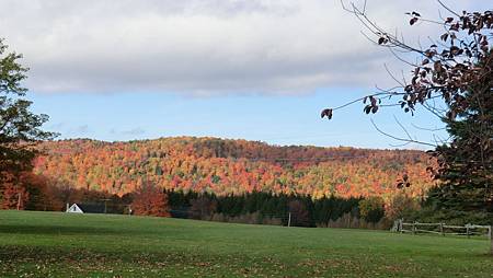 CIMG8924.JPG CIMG8924.JPG