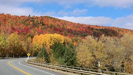 CIMG8920.JPG CIMG8920.JPG