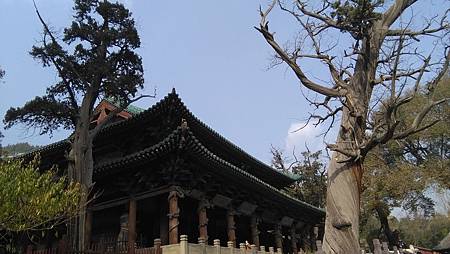 IMG_20171102_132115.jpg IMG_20171102_132115.jpg