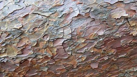 CIMG9543.JPG CIMG9543.JPG