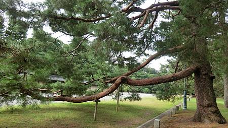 CIMG9545.JPG CIMG9545.JPG