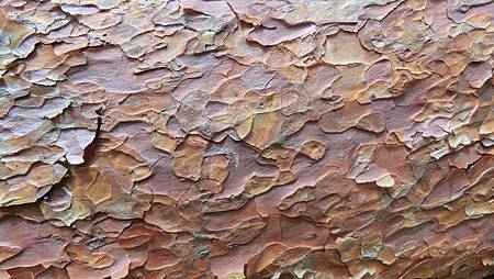 CIMG9544.JPG CIMG9544.JPG