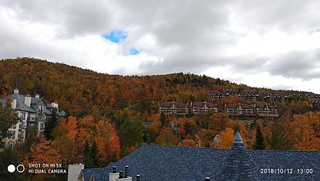 IMG_20181012_130005.jpg IMG_20181012_130005.jpg