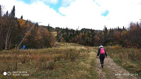 IMG_20181012_142503.jpg IMG_20181012_142503.jpg