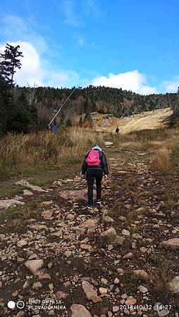 IMG_20181012_142721.jpg IMG_20181012_142721.jpg