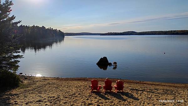 IMG_20221004_170019.jpg IMG_20221004_170019.jpg