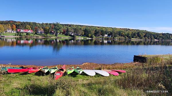 IMG_20221004_155456.jpg IMG_20221004_155456.jpg