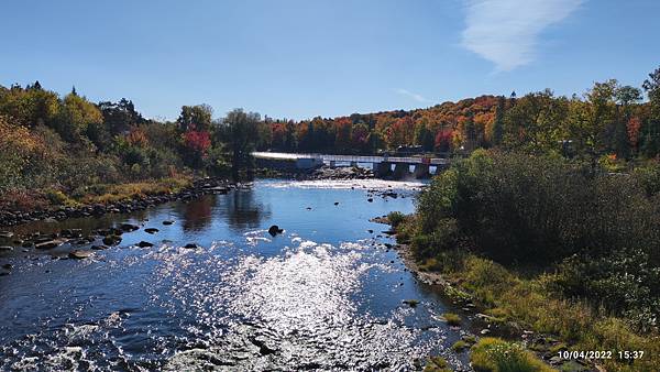 IMG_20221004_153712.jpg IMG_20221004_153712.jpg