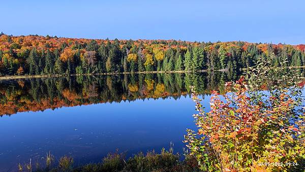 IMG_20221005_092402.jpg IMG_20221005_092402.jpg