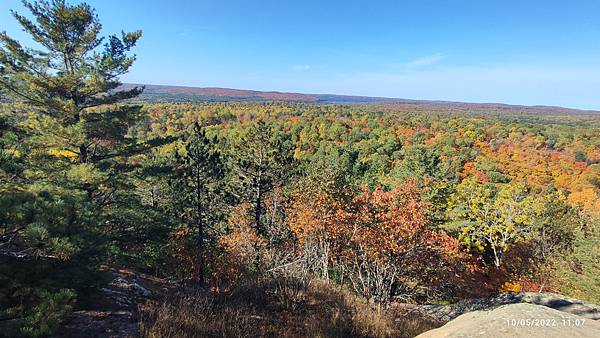 IMG_20221005_110705.jpg IMG_20221005_110705.jpg