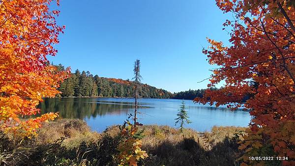 IMG_20221005_123424.jpg IMG_20221005_123424.jpg