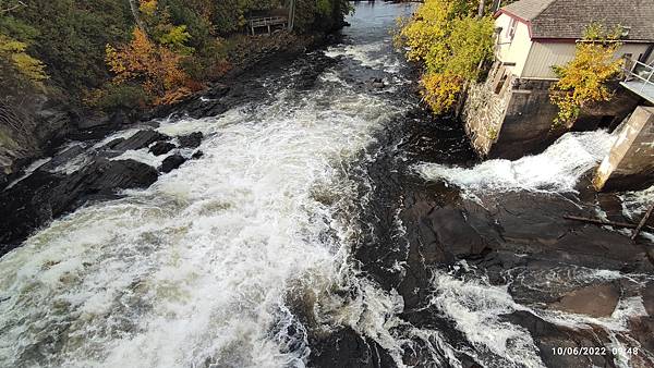 IMG_20221006_094811.jpg IMG_20221006_094811.jpg