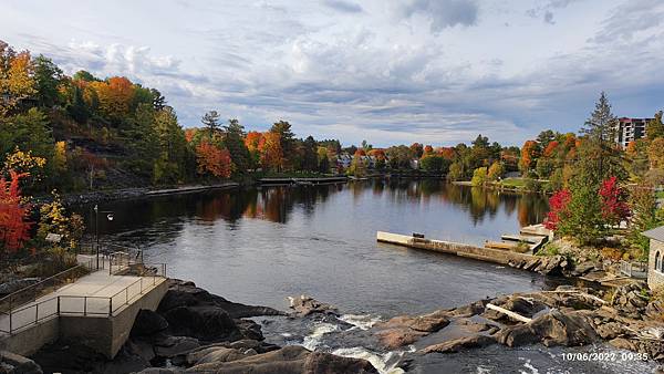 IMG_20221006_093530.jpg IMG_20221006_093530.jpg