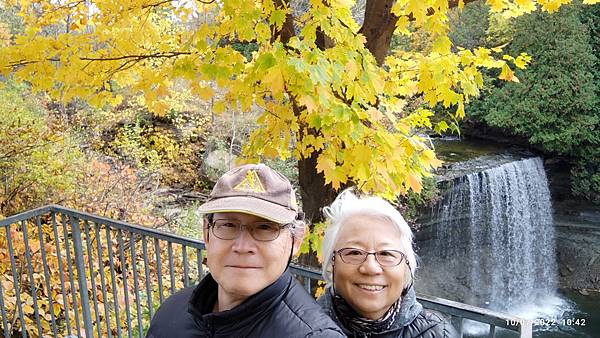 IMG_20221007_104255.jpg IMG_20221007_104255.jpg