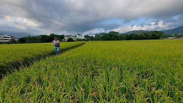 2023年台灣行 2023年台灣行