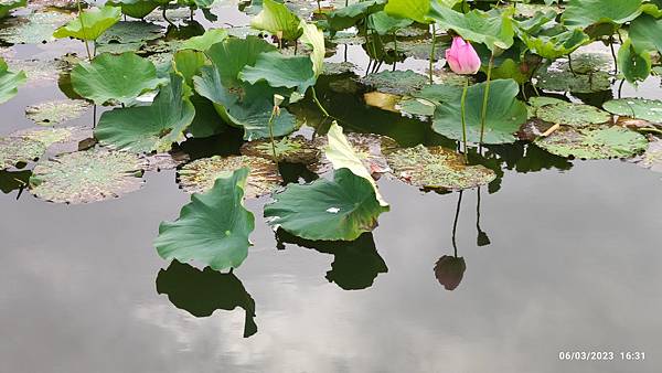 2023年台灣行 2023年台灣行