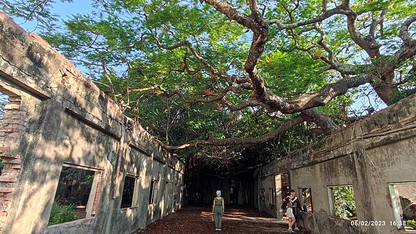 2023年台灣行 2023年台灣行