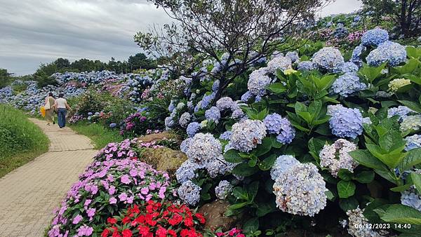 2023年台灣行 2023年台灣行