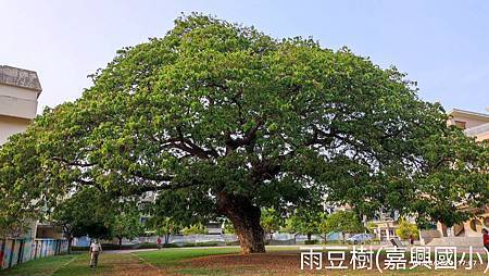 2023年台灣行 2023年台灣行