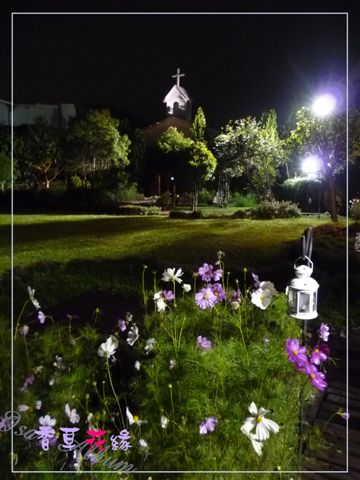 夜晚的香草花緣