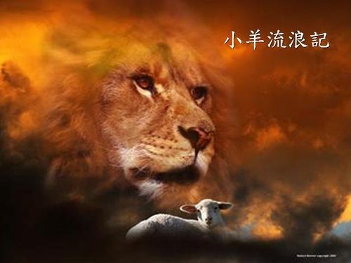 SHEEP LION.jpg SHEEP LION.jpg