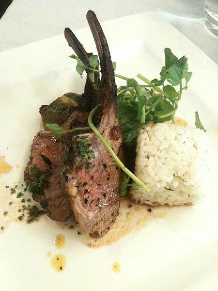 lamb.JPG lamb.JPG