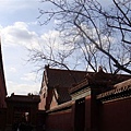 斜照