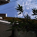 天空天空