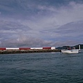 出海了