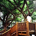 溫州街巷弄裡公園的孩子