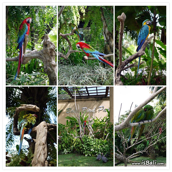 BaliBirdPark03.jpg