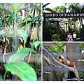 BaliBirdPark13.jpg