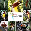 BaliBirdPark13a.jpg