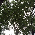 20131105_160825.jpg