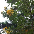 20131105_155454.jpg