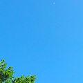 20140604_173125.jpg