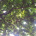 20140616_165952.jpg